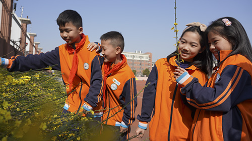 瞧！外校的花兒
